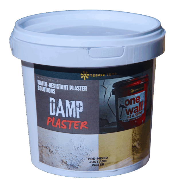 DAMP PLASTER